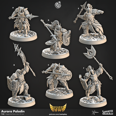 Aurora Paladin Bundle